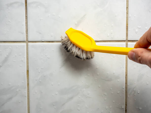 Best Black Mold Removal  in Grace, ID