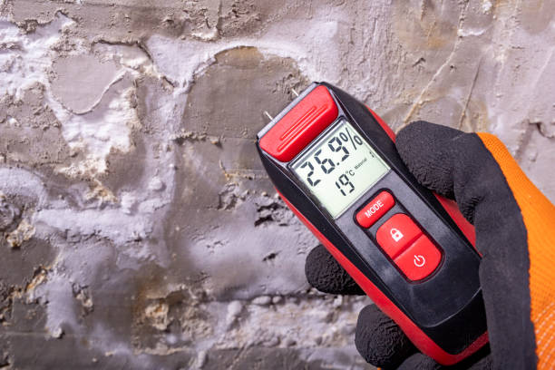 Best Attic Mold Removal  in Grace, ID