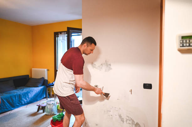 Best Fast Mold Removal  in Grace, ID